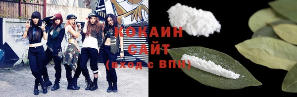 винт Няндома