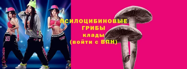 прущий лед Нягань